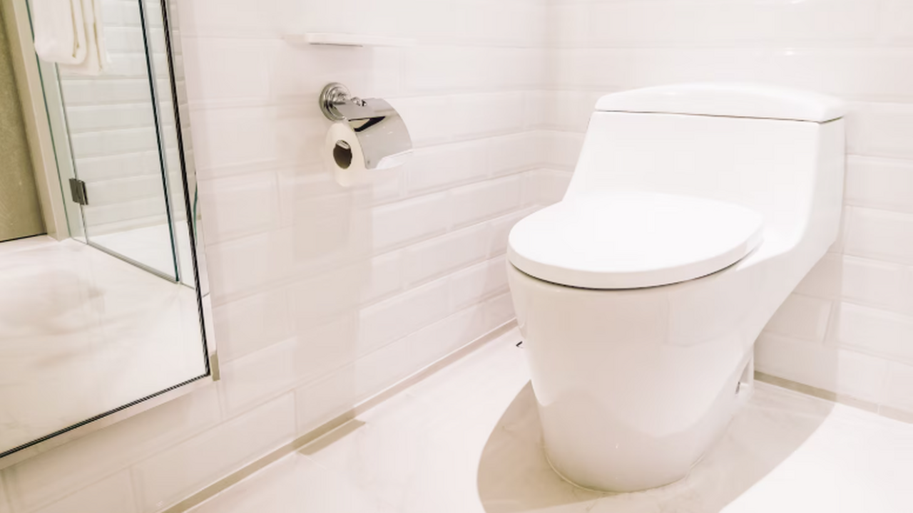 Один случай навсегда изменил мою привычку: теперь всегда опускаю крышку унитаза — вот почему Часто в процессе уборки ванных комнат забывают ...