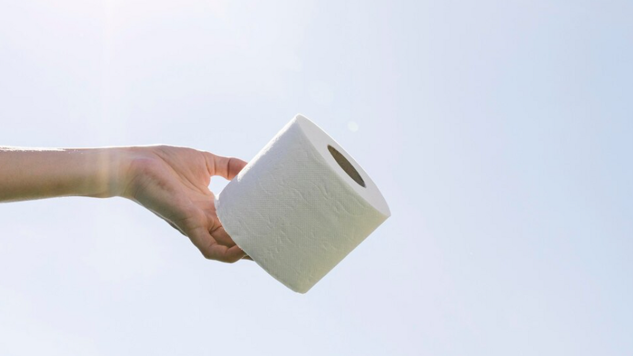 Рынок туалетной бумаги сегодня предлагает множе...