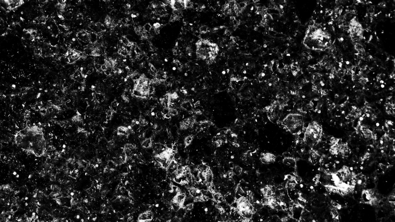 Учёные из SLAC (США) и Университета Париж-Сакле...