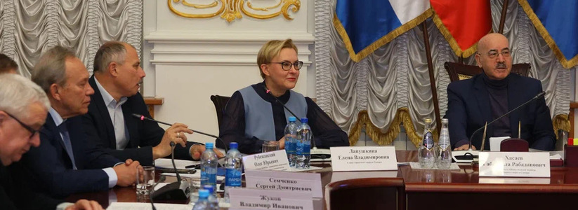 Елена Лапушкина представила Общественной палате г.о. Самара результаты 5-летней работы