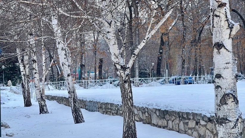 В самарском регионе с этой недели начинается по...