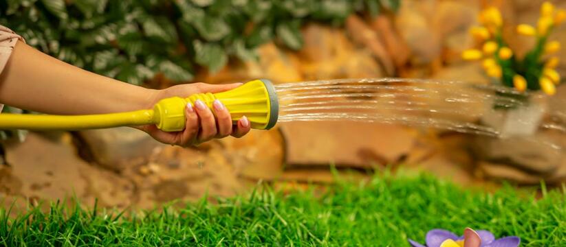 Стоит только приехать в загородный дом первый р...