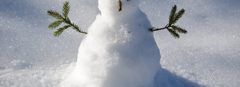 В Самаре на "Авито" выставили на продажу мини-снеговика в ноябре 2022 года