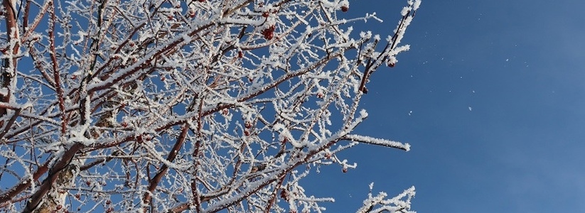Жителей Самарской области предупредили о похолодании до -20 градусов 29 ноября 2022 года