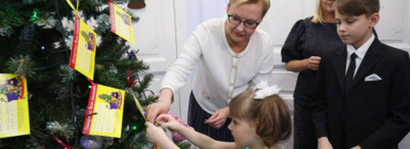 Глава Самары Елена Лапушкина дала старт ежегодной благотворительной акции «Ёлка желаний»