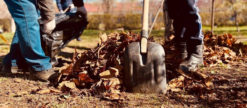 С 1 по 30 апреля в региональной столицы проходи...