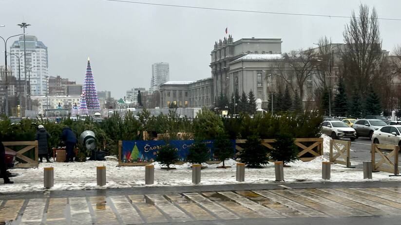 В Самаре заработали елочные базары. Теперь один...