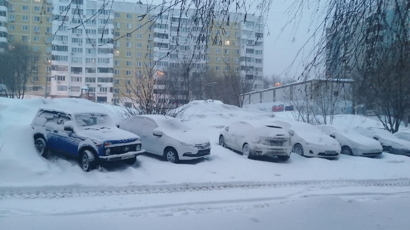 Жители Самарской области массово жалуются на бе...