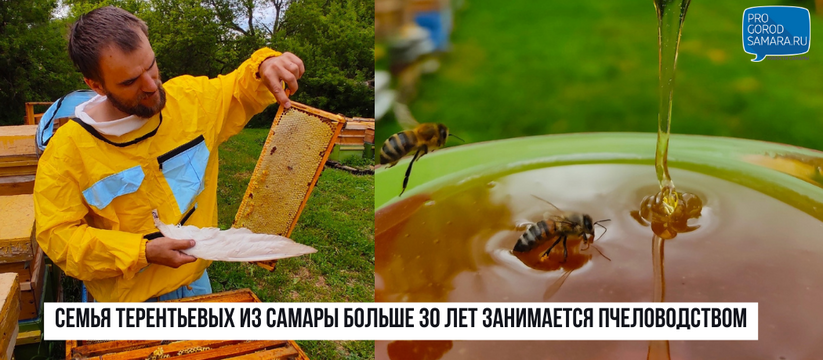 Семья Терентьевых из Самары больше 30 лет занимается пчеловодством: "Дедушкино увлечение переросло в призвание"