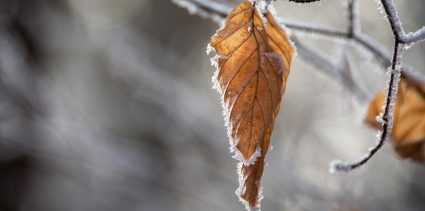 Погода 2026 в Самарской области установила 87-л...