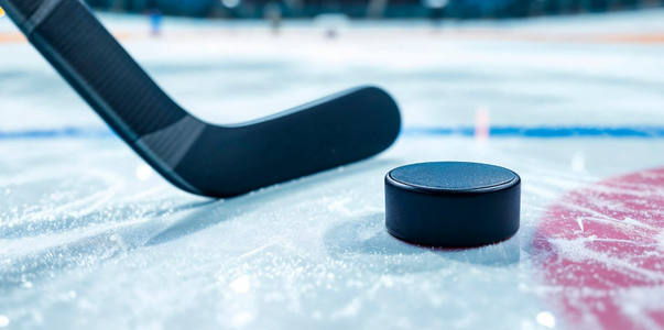 В Самаре 22 февраля пройдет хоккейный турнир в ...