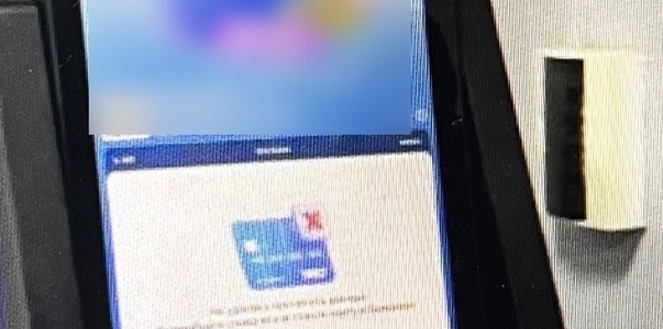 В Жигулёвске полицейские задержали женщину, укр...