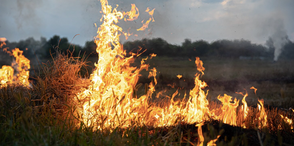 Власти в Самаре вводят особый противопожарный р...