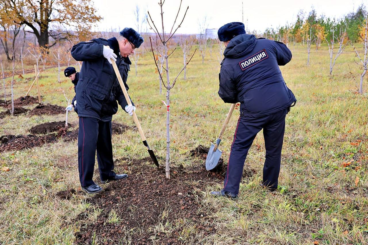  В Самаре в пятницу высадили 15 каштанов в «Саду Памяти» 