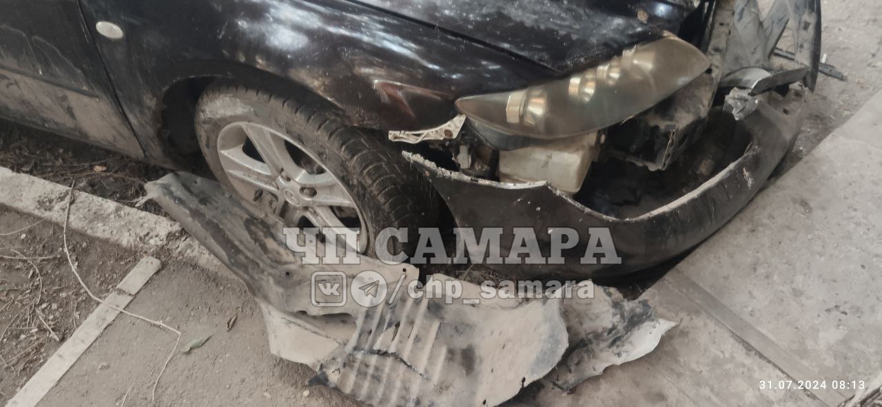  Стая бродячих собак разорвала в клочья автомобиль в Самаре на ул. Арцыбушевская 