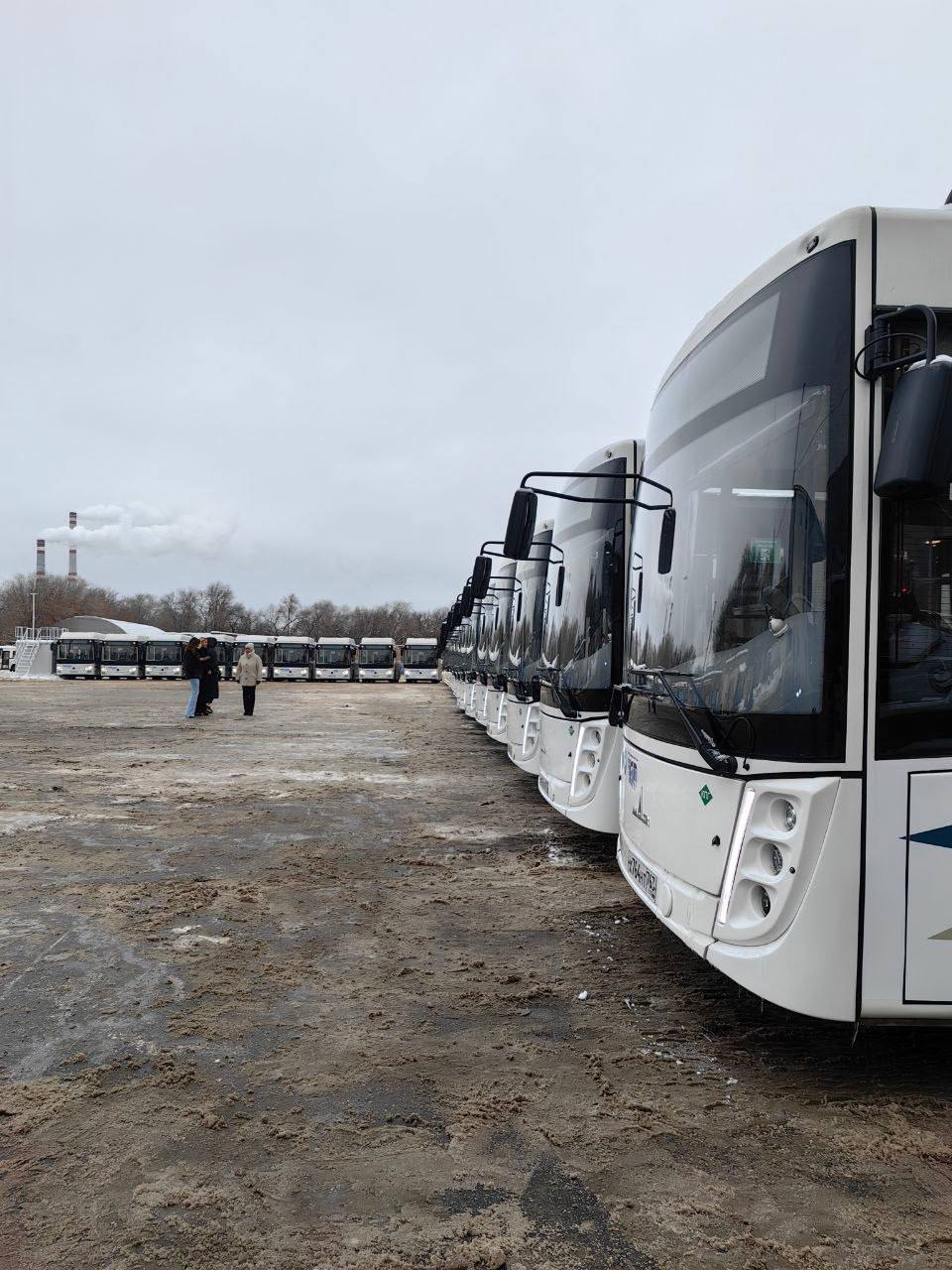  В Самару привезли 300 новых низкопольных автобусов: выйдут в рейсы 1 января 