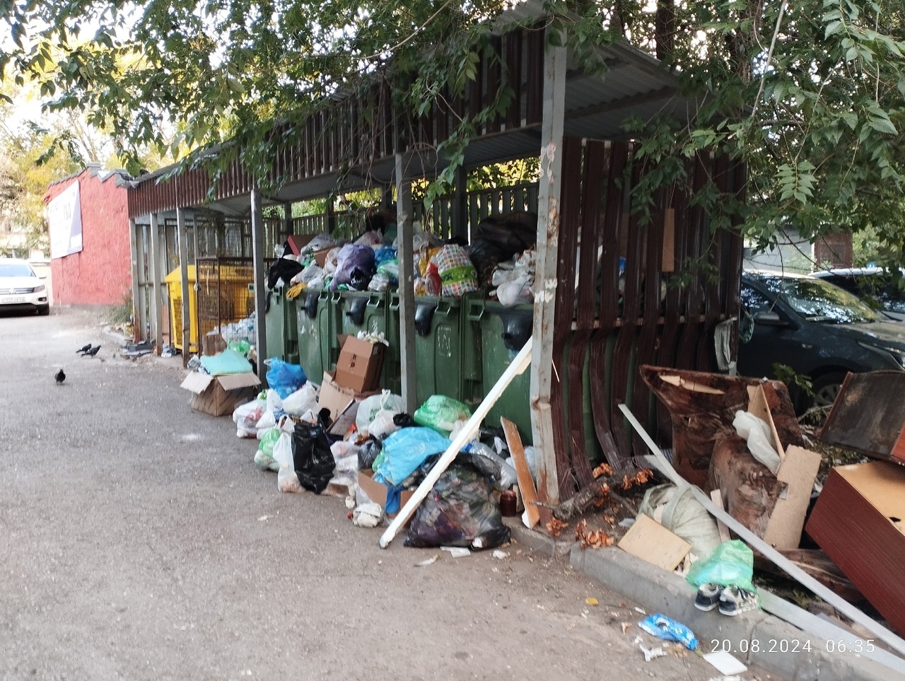  В Самарской области открылась горячая линия по не вывозу мусора 