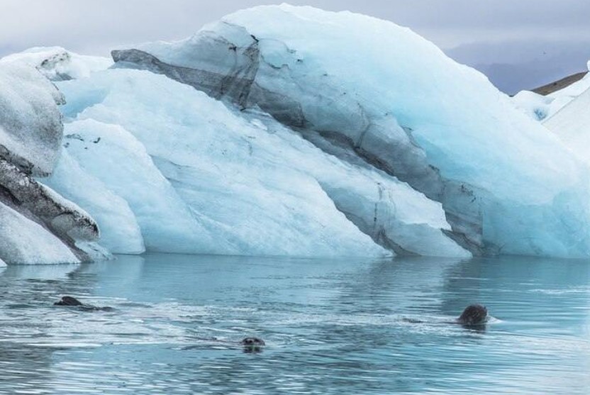  TNYT: исследователи США отправились в Антарктиду для изучения ледника Туэйтса 