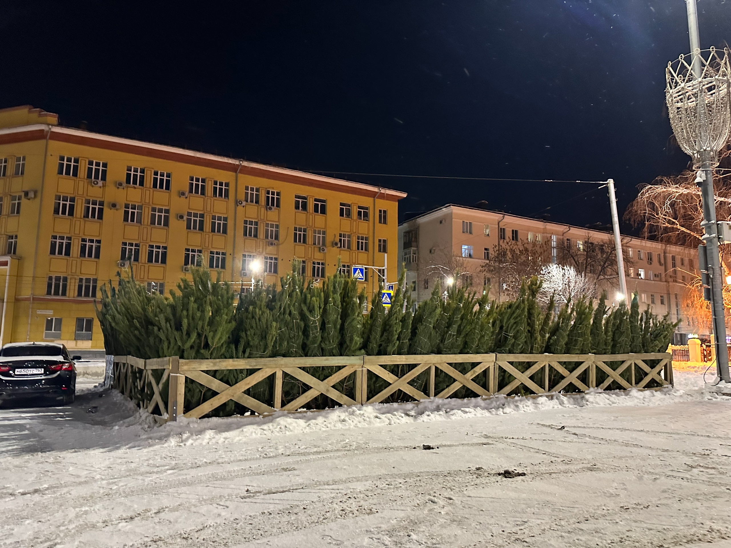  В Самаре заработали ёлочные базары: полный список 