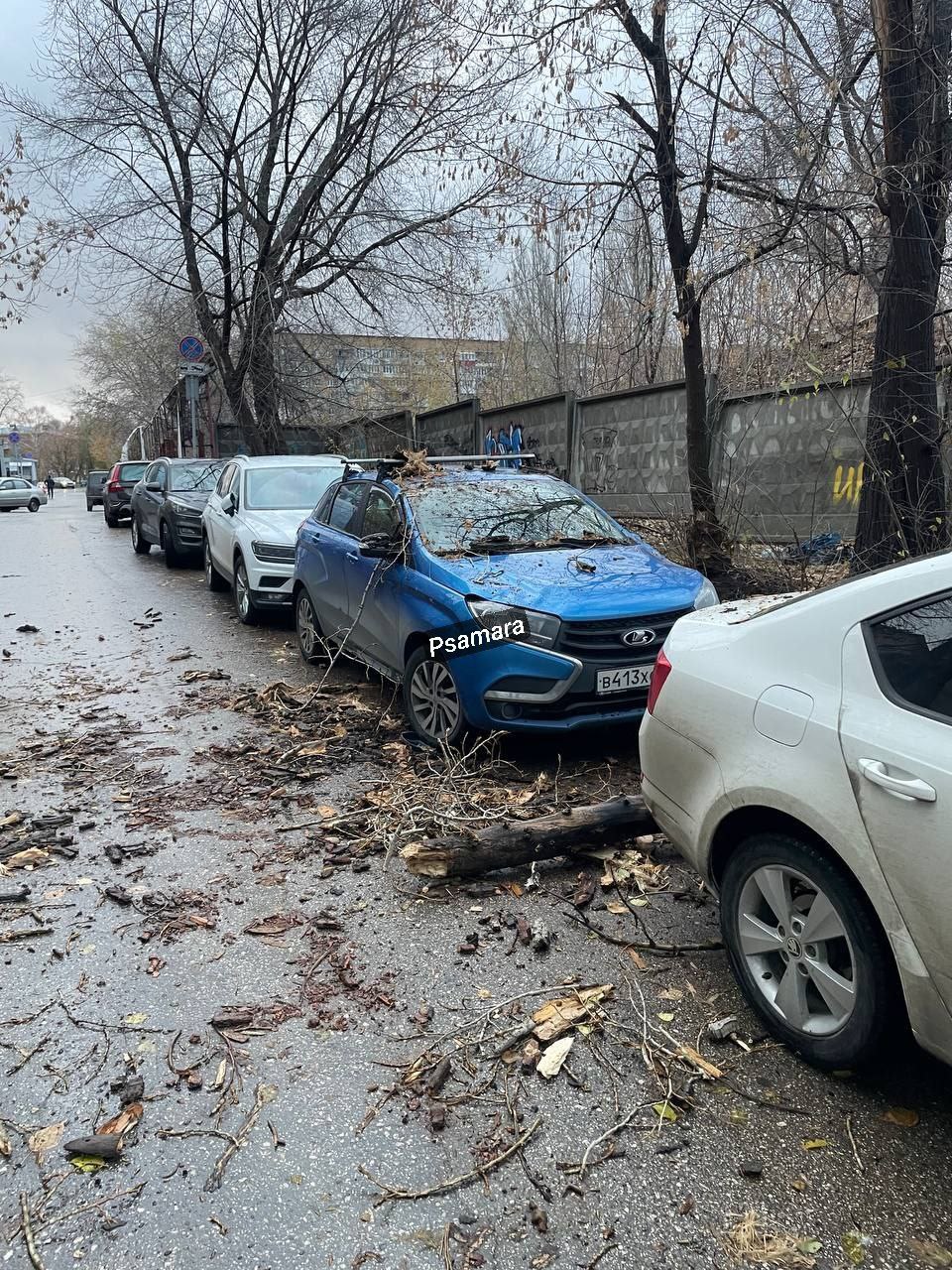  В Самаре утром 2 ноября штормовой ветер сносит прохожих с ног и валит деревья 