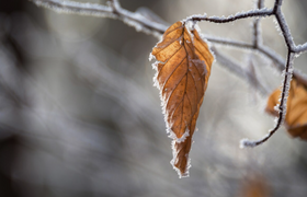 Погода 2026 в Самарской области установила 87-л...