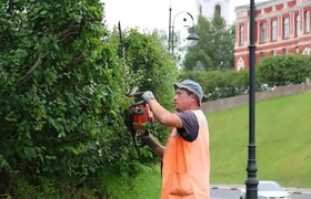 В Самаре с начала лета вывезли 3 тысячи кубомет...