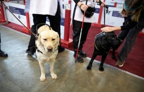 В Самаре строят бесплатные площадки для трениро...