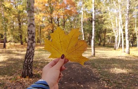 Клинический психолог из Самары — о том, как спр...