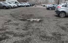 В Промышленном районе Самары прямо во дворе неи...