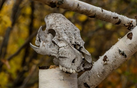 Легенды Ведьминого озера и аномалии Жигулевских...