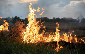 Власти в Самаре вводят особый противопожарный р...