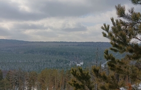 МТС накрыла сетью 4G район знаменитых Рачейских...