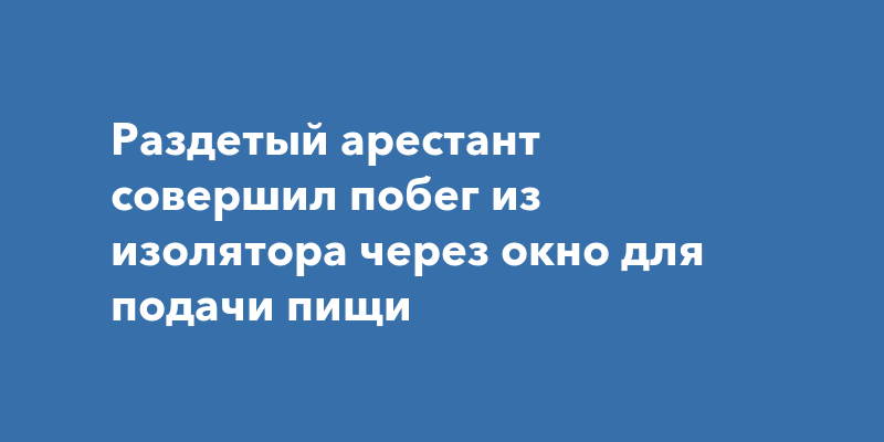 Побег из изолятора division 2 трофей для рюкзака