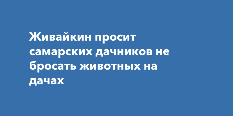Живайкин просит самарских дачников не бросать животных на дачах