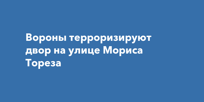 Гибдд на мориса тореза 65 режим работы телефон