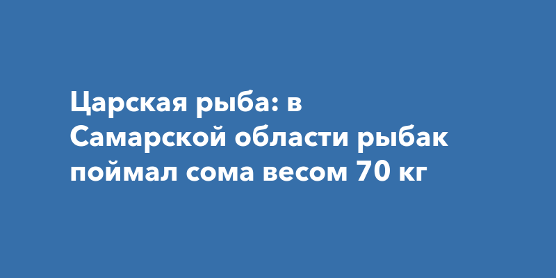 Поймал сома 100 кг видео