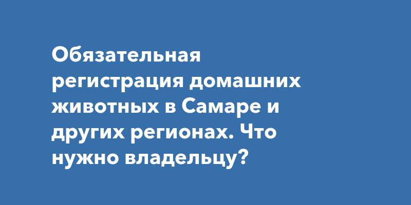 Обязательная регистрация домашних животных в Самаре и других регионах. Что нужно владельцу?