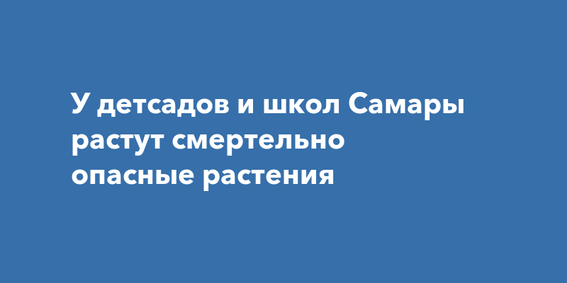 Смертельно опасные растения проект